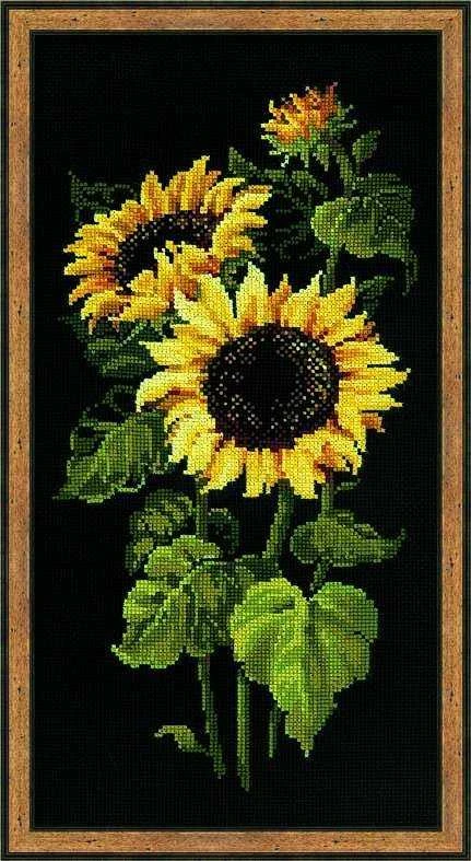 Riolis Saulėgrąžos 25x50 cm