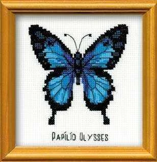 Riolis Ulysses Butterfly HB095
