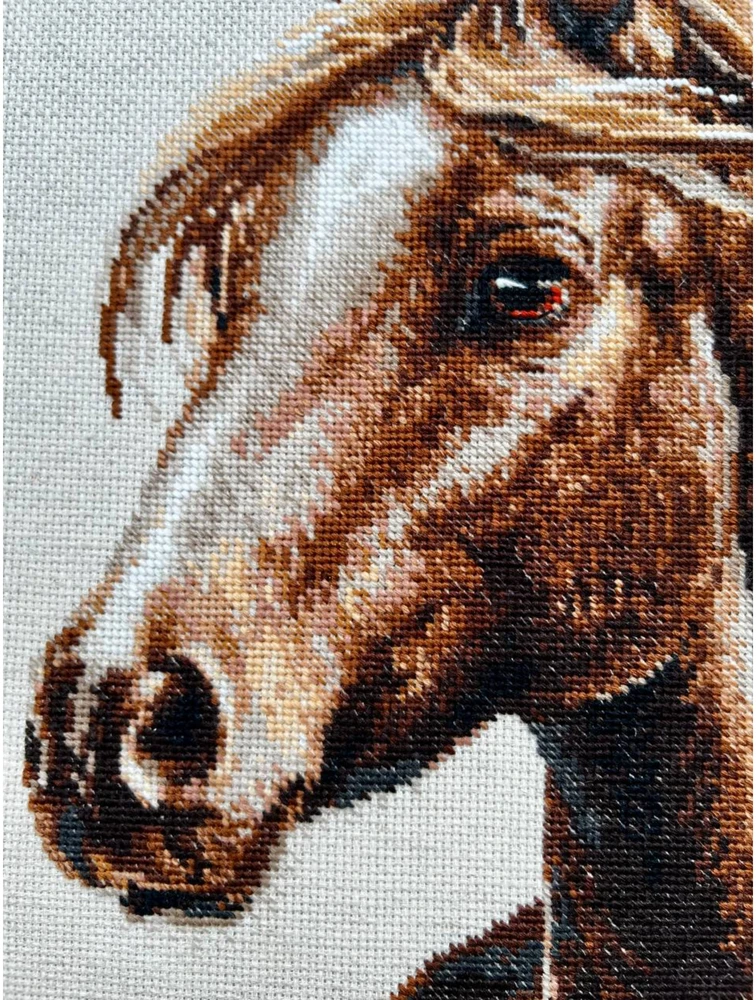Riolis Kryželiu siuvinėjimo rinkinys. "Išdidus spiritas" 30x40 cm SR2293