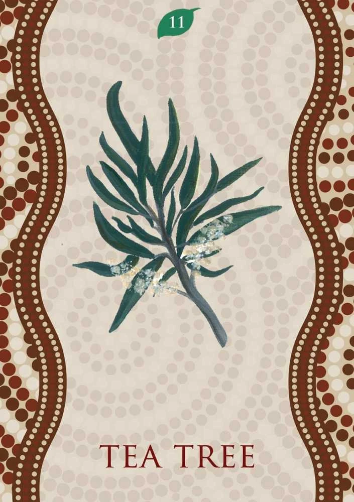 Rockpool Aboriginal Oracle Kortos