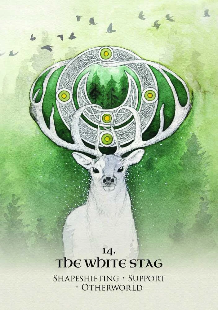 Rockpool Celtic Spirit Oracle Kortos