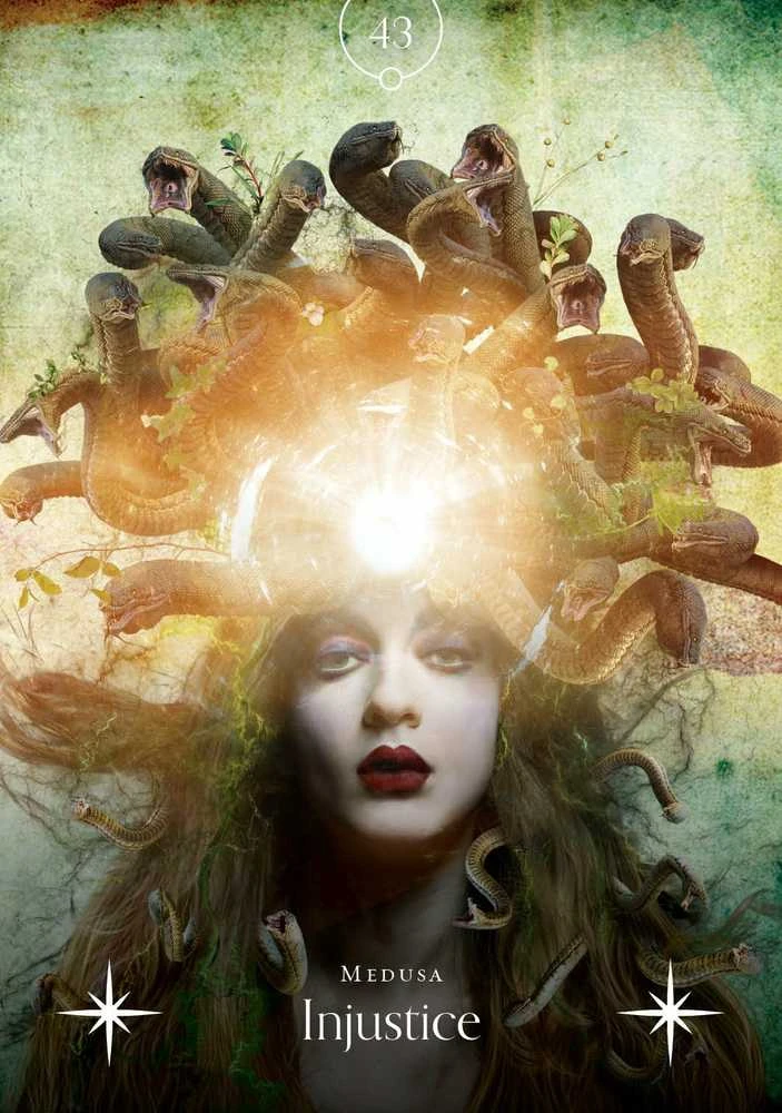 Rockpool Deep Dark And Dangerous Oracle Kortos