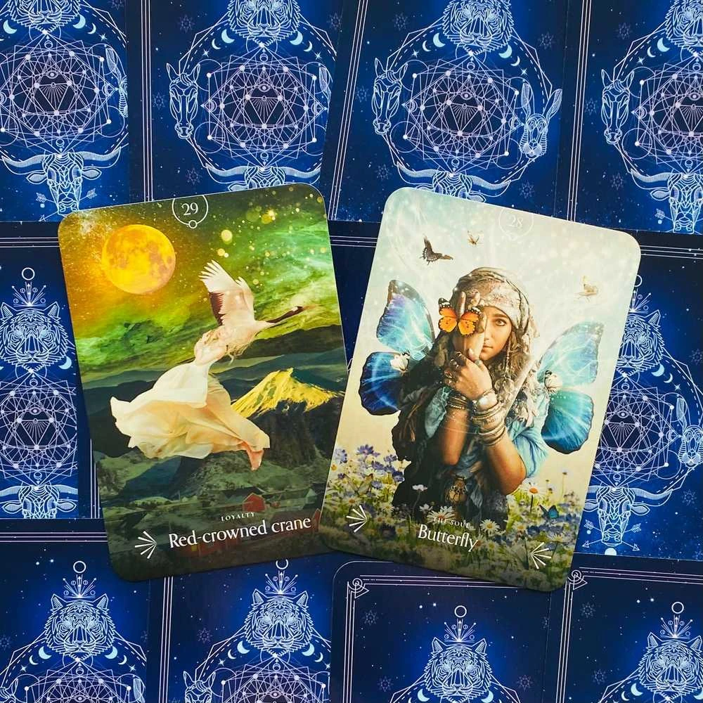 Rockpool Divine Animals Oracle Kortos