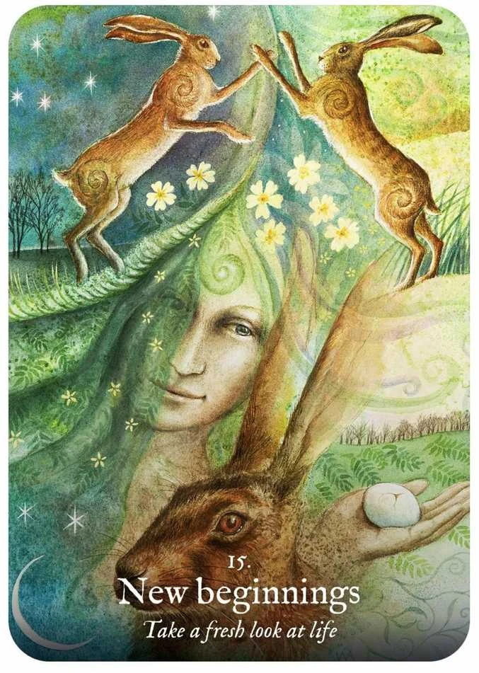 Rockpool Goddess Dream Oracle Kortos