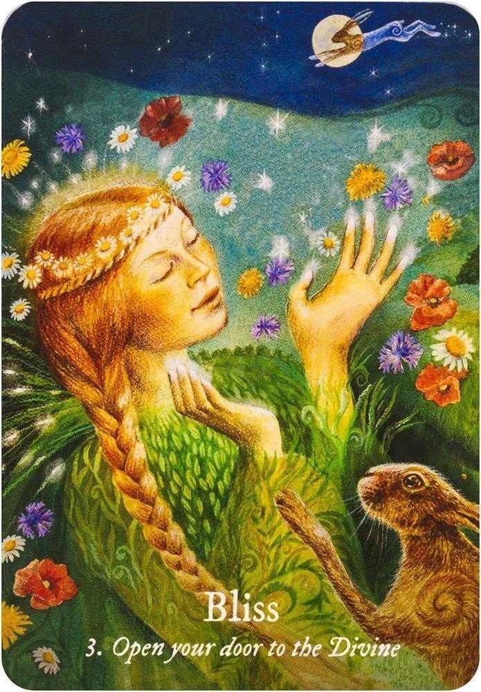 KNYGA Rockpool Goddess Love Oracle Kortos
