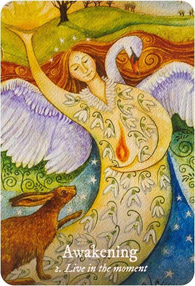 KNYGA Rockpool Goddess Love Oracle Kortos