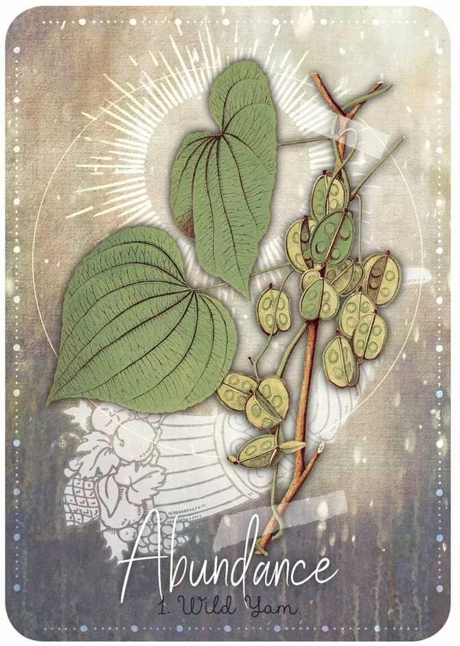 Rockpool Magickal Herb Oracle Kortos