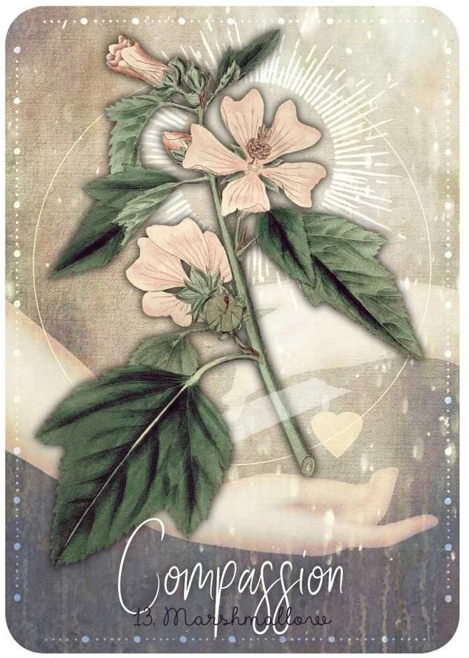 Rockpool Magickal Herb Oracle Kortos