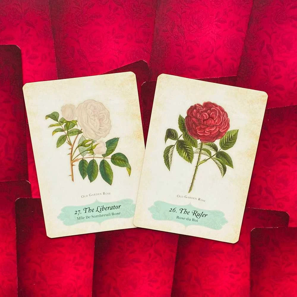 Rockpool Oracle Of The Roses kortos