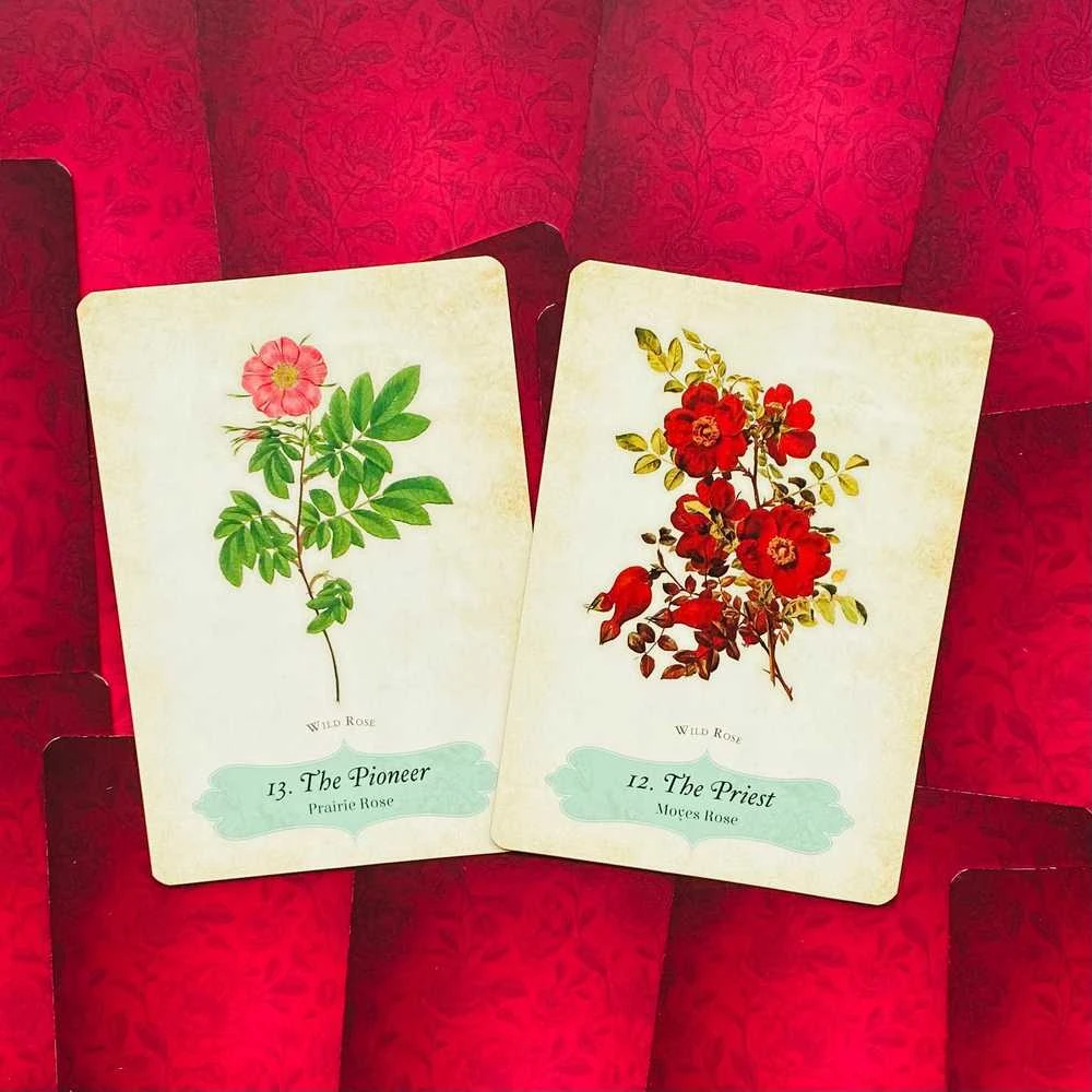Rockpool Oracle Of The Roses kortos