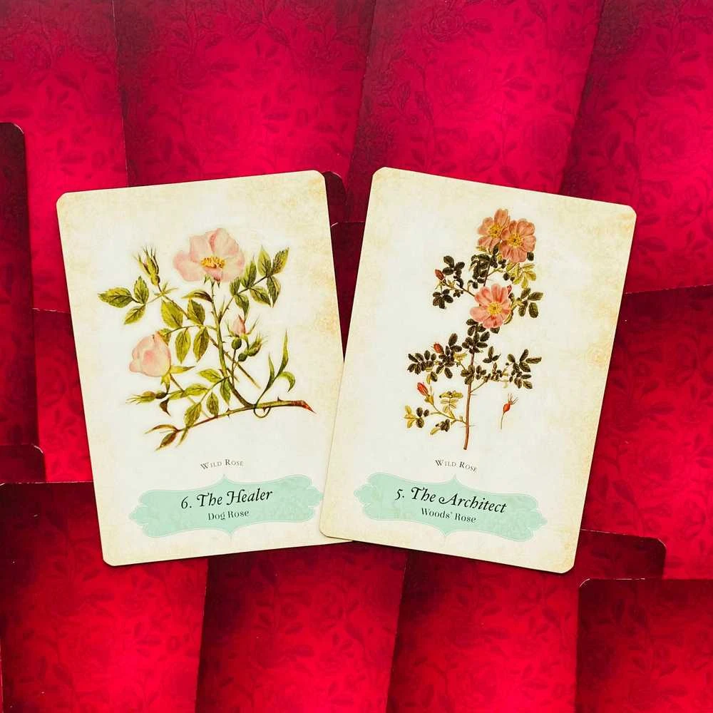 Rockpool Oracle Of The Roses kortos