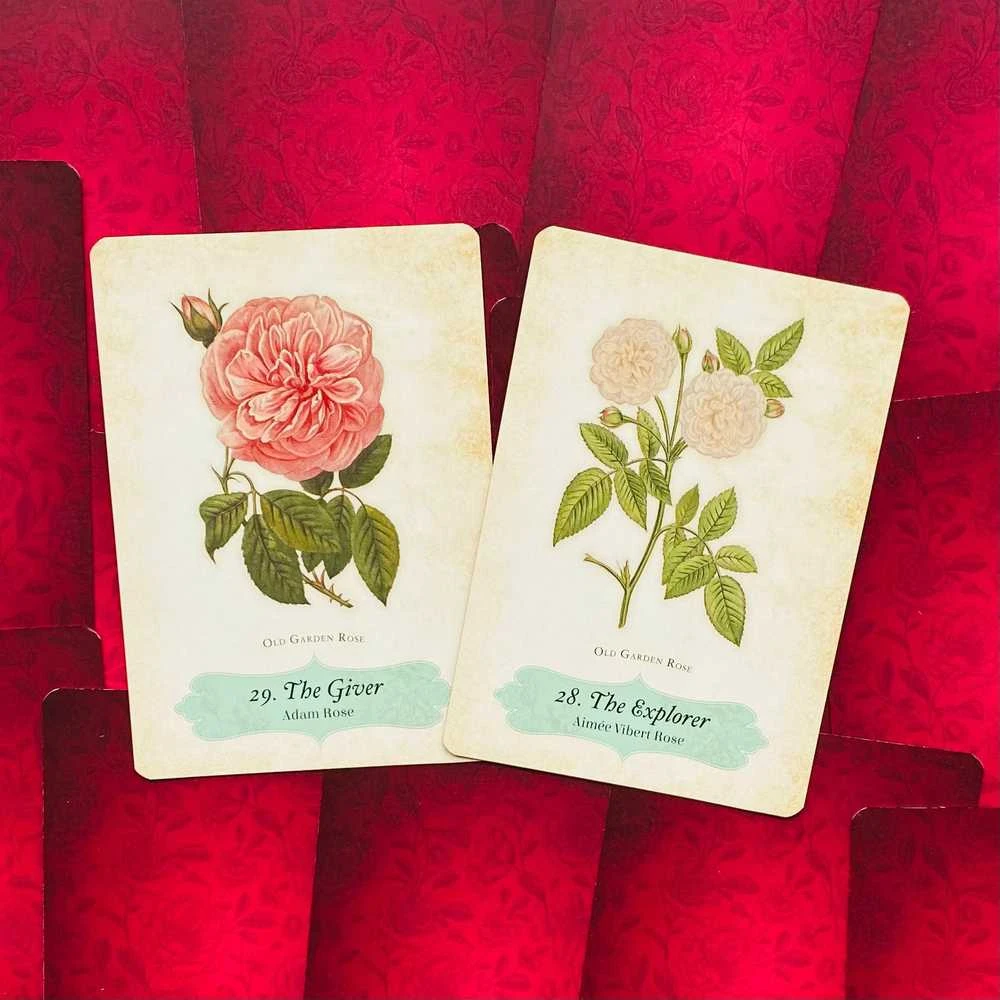 Rockpool Oracle Of The Roses kortos