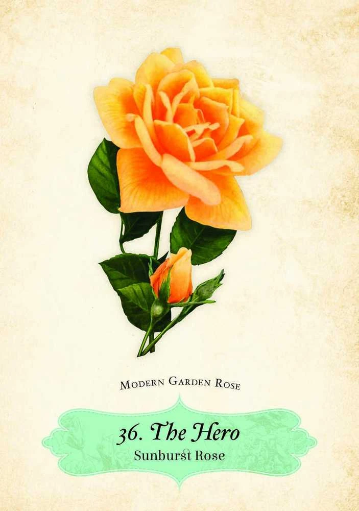 Rockpool Oracle Of The Roses kortos