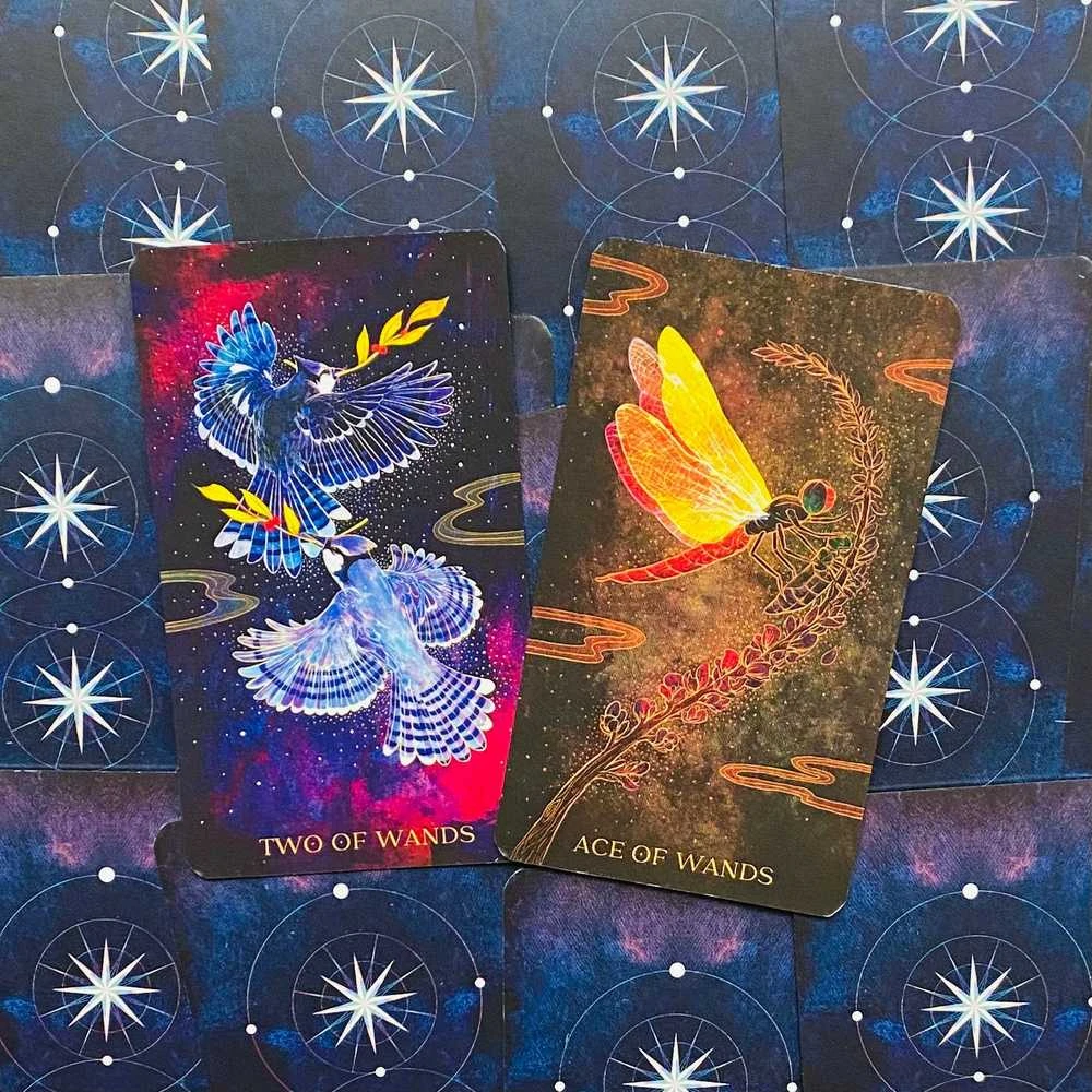 Rockpool Oriens Animal Tarot Taro Kortos