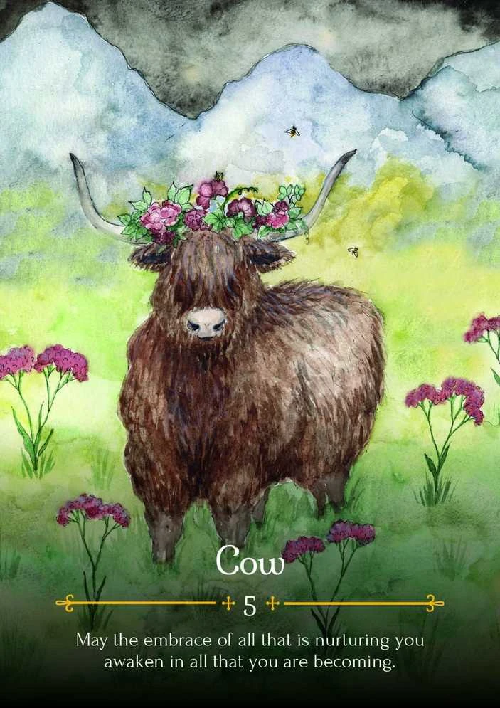 Rockpool Seasons Of The Witch Beltane Oracle Kortos