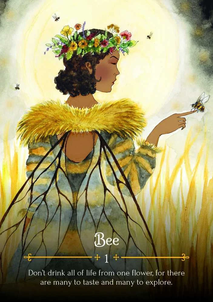 Rockpool Seasons Of The Witch Beltane Oracle Kortos