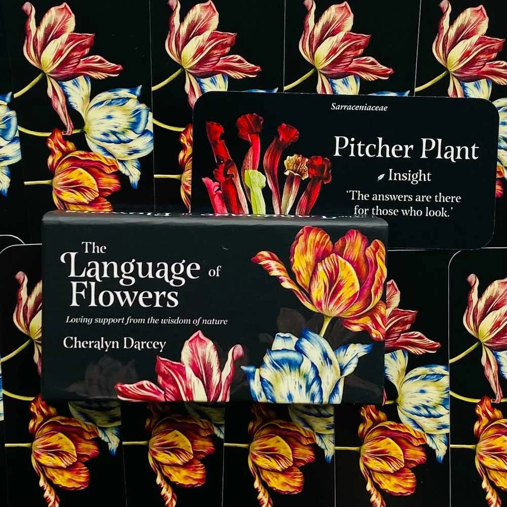 Rockpool The Language Of Flowers Inspiration Kortos
