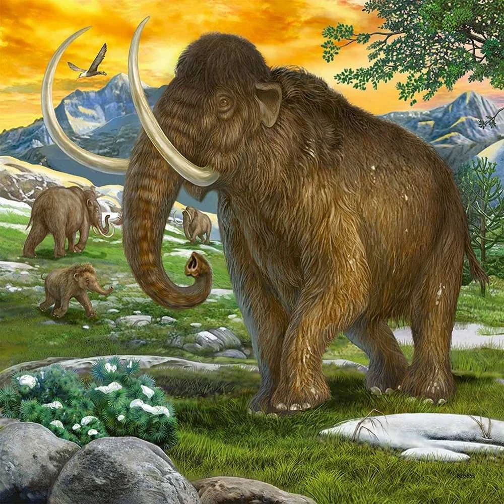 Ravensburger Dėlionė 3x49 vnt. - Priešistoriniai laikai