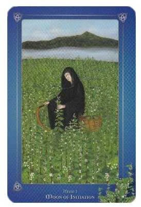 Schiffer Publishing Avalonian Oracle Kortos