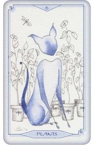 Schiffer Publishing Bleu Cat Taro Kortos