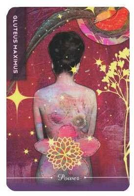 Schiffer Publishing Body Cards Taro Kortos