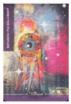 Schiffer Publishing Body Cards Taro Kortos
