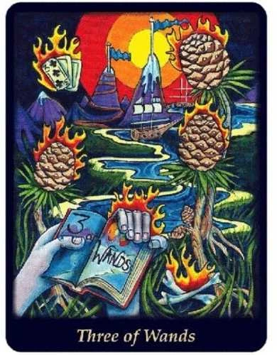 Schiffer Publishing Bonefire Taro Kortos
