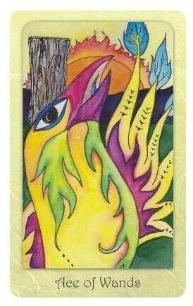 Schiffer Publishing Dream Raven Taro Kortos