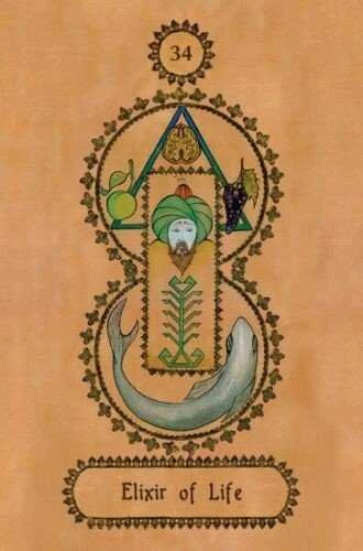 Schiffer Publishing Falnama: Turkish Oracle Kortos