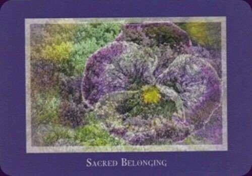Schiffer Publishing Gaia’s Vision Oracle Kortos