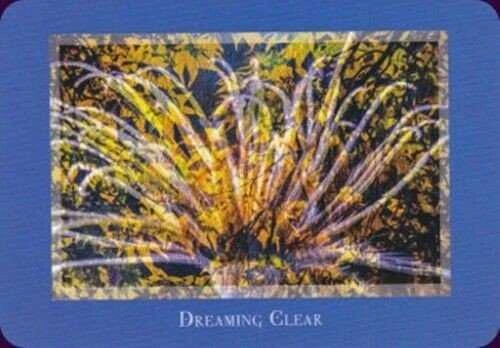 Schiffer Publishing Gaia’s Vision Oracle Kortos