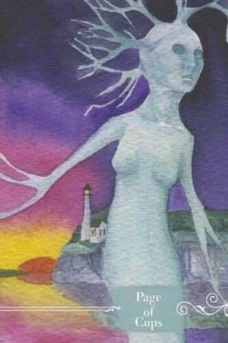 Schiffer Publishing Guardian Tarot Kortos