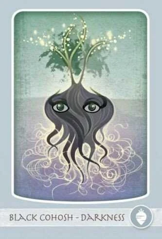 Schiffer Herbal Deck Tarot Kortos