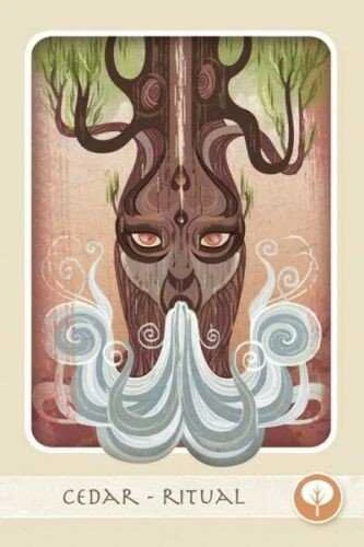 Schiffer Herbal Deck Tarot Kortos