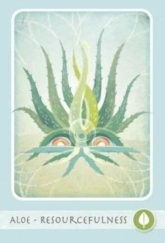Schiffer Herbal Deck Tarot Kortos