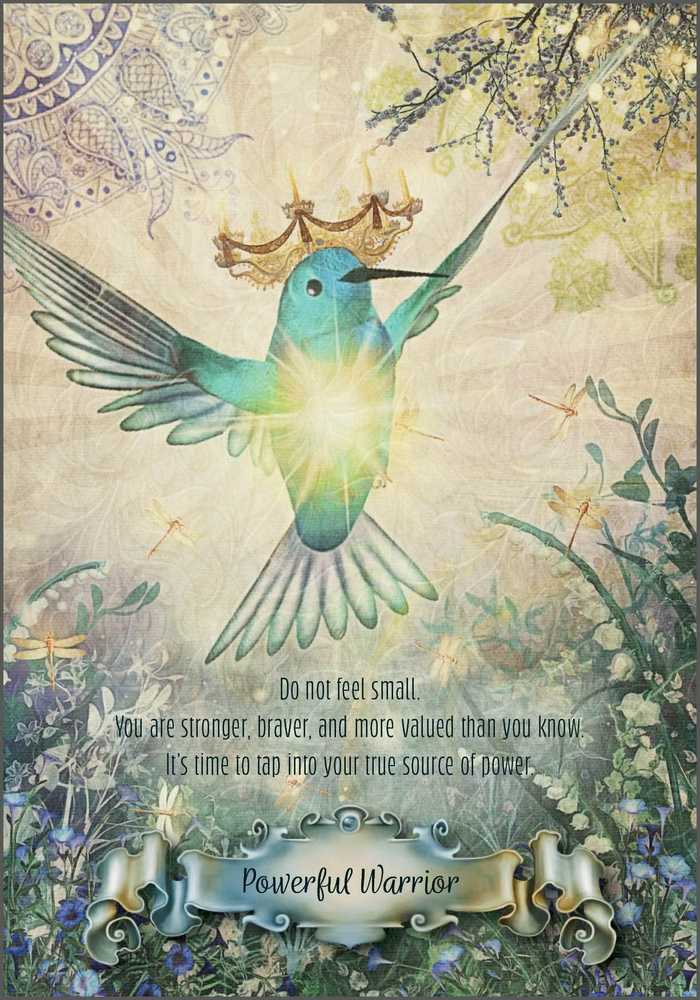 KNYGA Schiffer Publishing Hummingbird Wisdom Oracle Kortos