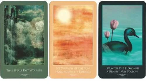 Schiffer Publishing Inspirations For Survivors Kortos