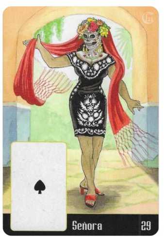 KNYGA Schiffer Publishing La Santa Muerte Lenormand Taro kortos