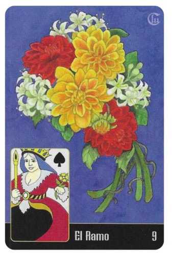 KNYGA Schiffer Publishing La Santa Muerte Lenormand Taro kortos
