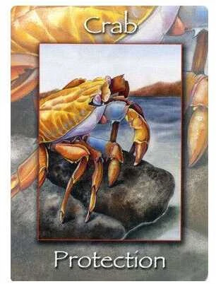 Schiffer Publishing Natures Wisdom Oracle Kortos