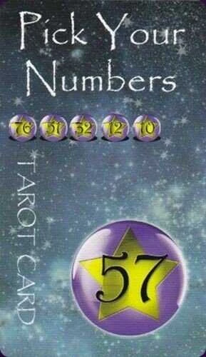 Schiffer Publishing Pick Your Numbers Taro Kortos
