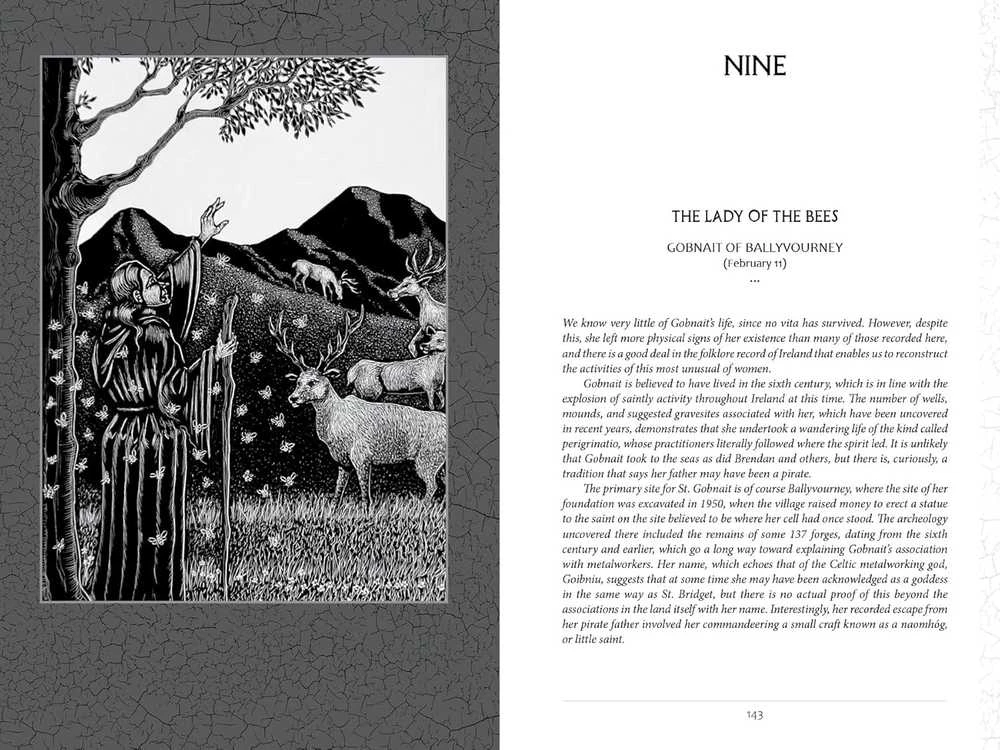 Schiffer Publishing Knyga - Keliavimas su Keltų Šventaisiais, John Matthews, Iliustruotas Leidimas