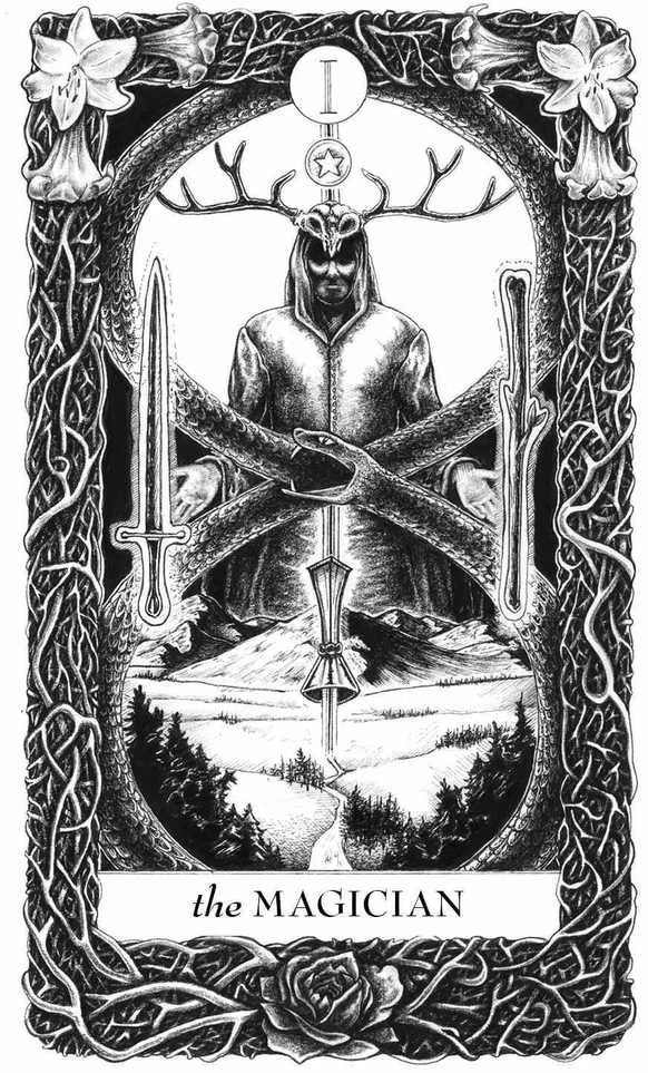 Schiffer Publishing Lieselle Eternal Tarot – 78 Taro kortų kaladė su vadovu