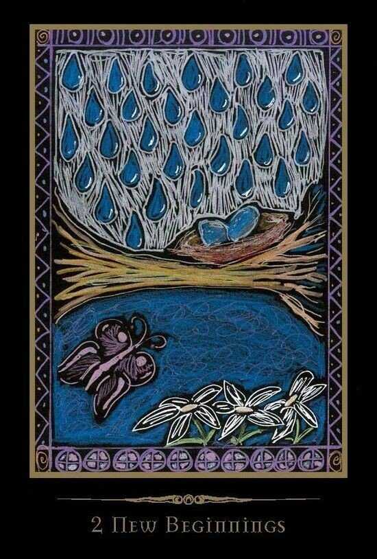 KNYGA Schiffer Publishing Shamanic Oracle Kortos