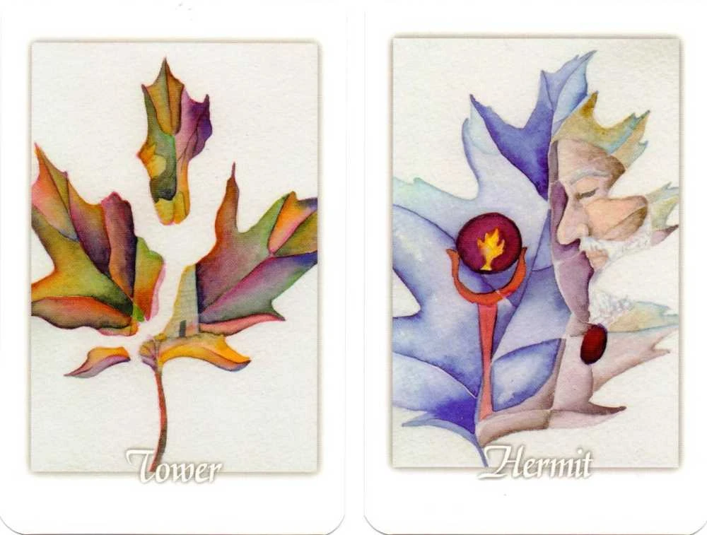Schiffer Publishing Tarot Leaves Taro Kortos