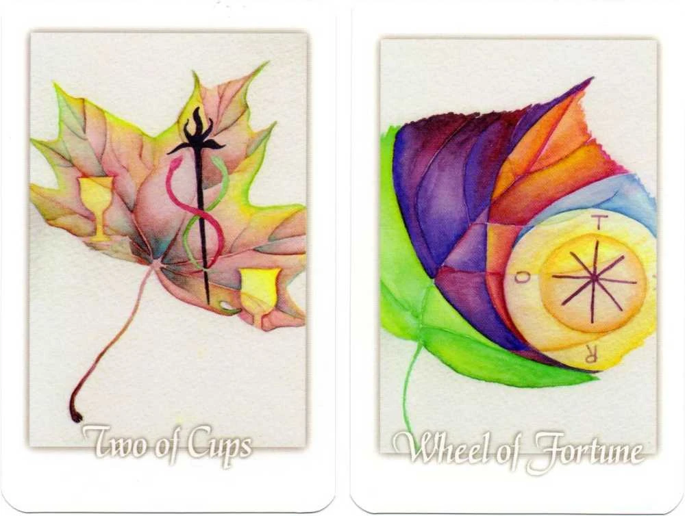 Schiffer Publishing Tarot Leaves Taro Kortos