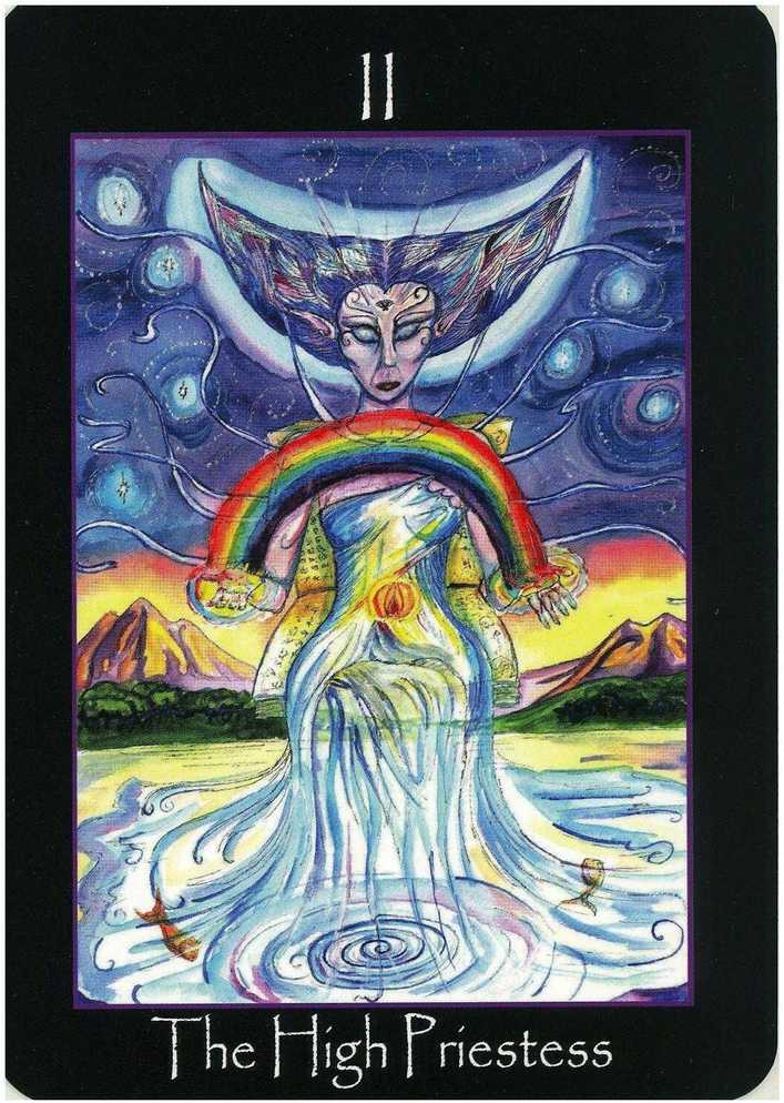 KNYGA Schiffer Publishing Tarot Of The Sidhe Kortos