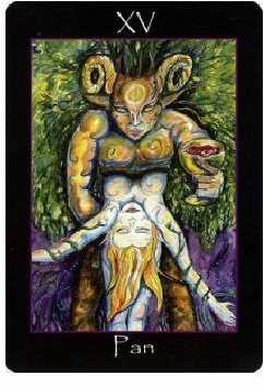 KNYGA Schiffer Publishing Tarot Of The Sidhe Kortos
