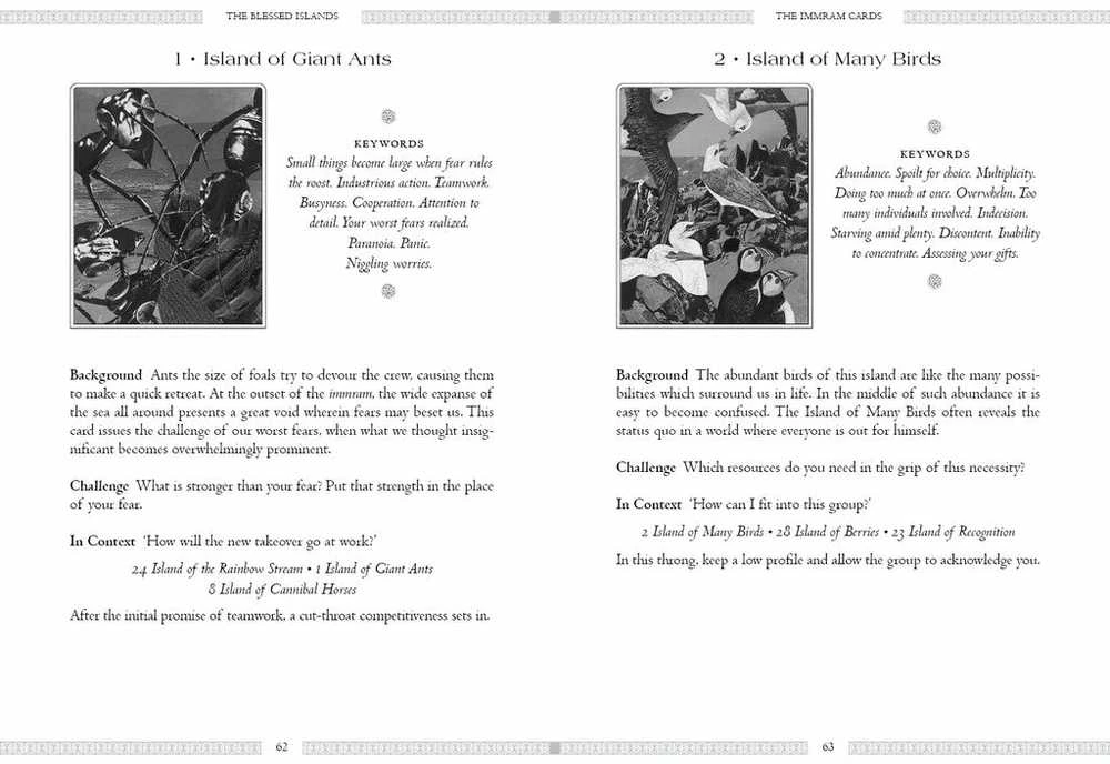 KNYGA Schiffer Publishing The Celtic Book Of The Dead Oracle Kortos