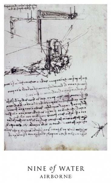 Schiffer Publishing The Da Vinci Enigma Tarot Kortos Ir Knyga